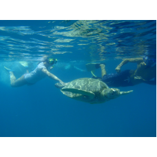 Transfer from Kuala Tahan to Kuala Besut Jetty.